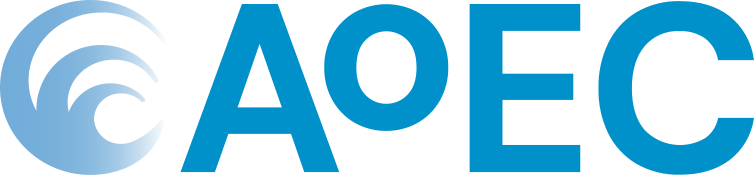 Academy of Executive Coaching logo